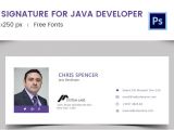 Java Email Template 96 Responsive Email Signatures Free Premium Templates