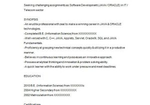 Java Fresher Resume formats Java Developer Resume Template 14 Free Samples