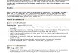 Java Microservices Sample Resume Junior Java Developer Resume Samples Qwikresume