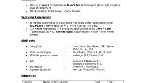 Java Sample Resume 4 Years Experience Java 4 Years Experience Resume Resume Ideas
