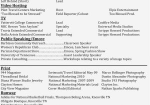 Jedegal Agency Sample Resume is Resume for Modeling and Realty Executives Mi