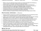 Jedegal Agency Sample Resume Travel Agent