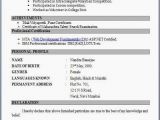 Job Interview Resume Model top 5 Resume formats for Freshers Resume format Download