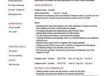Job Interview Resume Zone area Manager Cv Template Management Resume Managerial