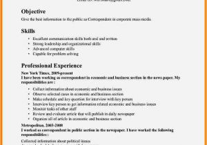Job Interview Site Resume Strengths Examples Key Skills 11 Cv Key Skills Examples theorynpractice