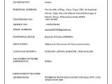 Job Ke Liye Resume format Marriage Resume format for Girl Free Download Cv format