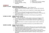 Job Related Resume format Best Market Researcher Resume Example From Professional
