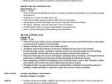 Job Related Resume format Curriculum Vitae Travel Consultant Joshymomo org
