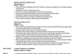 Job Related Resume format Curriculum Vitae Travel Consultant Joshymomo org
