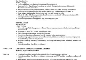 Job Related Resume format Travel Agent Resume Samples Velvet Jobs