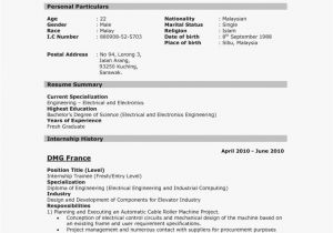 Job Resume format Pdf Marathi Resume format for Job Resume format Example