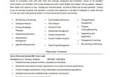 Junior Business Analyst Sample Resume Business Analyst Resume Template 11 Free Word Excel