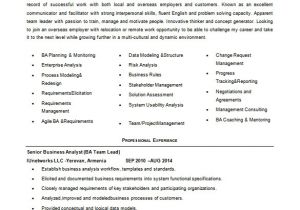 Junior Business Analyst Sample Resume Business Analyst Resume Template 11 Free Word Excel