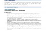 Junior Business Analyst Sample Resume Jr Business Analyst Resume Samples Qwikresume