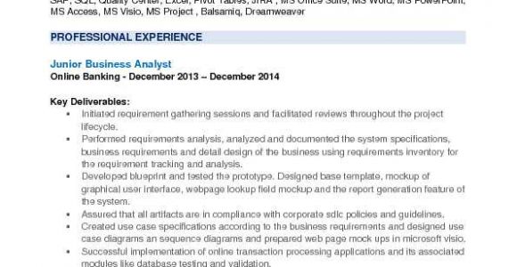 Junior Business Analyst Sample Resume Jr Business Analyst Resume Samples Qwikresume