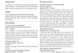 Junior Buyer Resume Sample 1000 Images About Resume On Pinterest Junior Fashion