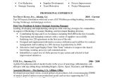 Junior Buyer Resume Sample Junior Buyer Resume