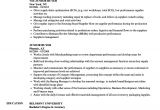 Junior Buyer Resume Sample Junior Buyer Resume Samples Velvet Jobs