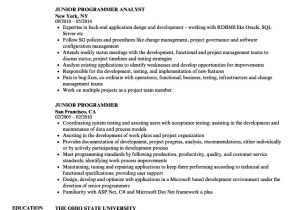 Junior C# Developer Resume Sample Junior Programmer Resume Samples Velvet Jobs