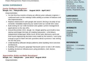 Junior Devops Engineer Resume Junior software Engineer Resume Samples Qwikresume