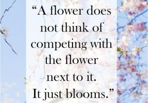 Just because Flower Card Quotes 10 Inspirational Quotes Of the Day 61 Gute Inspirierende