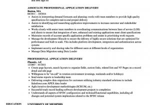 Kafka Sample Resume Professional Application Delivery Resume Samples Velvet Jobs