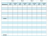 Keeping A Food Diary Template 40 Simple Food Diary Templates Food Log Examples