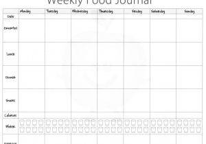 Keeping A Food Diary Template 5 Free Food Journal Templates Excel Pdf formats