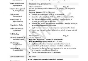 Key Account Manager Resume Sample Account Manager Resume Example