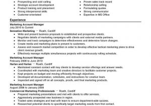 Key Account Manager Resume Sample Best Account Manager Resume Example Livecareer