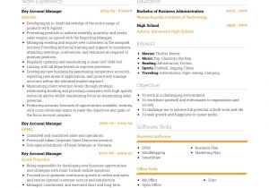 Key Account Manager Resume Sample Key Account Manager Resume Samples and Templates Visualcv