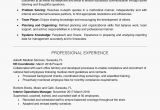 Key Skills for Student Resume Resume Example with A Key Skills Section