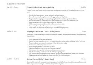 Kitchen Hand Resume Sample Kitchen Hand Resume Writing Guide 12 Free Templates