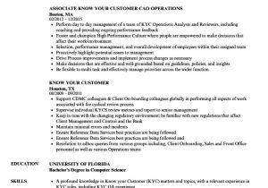 Kyc Resume Samples Know Your Customer Resume Samples Velvet Jobs