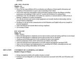 Kyc Resume Samples Kyc Analyst Resume Samples Velvet Jobs