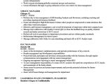 Kyc Resume Samples Kyc Manager Resume Samples Velvet Jobs