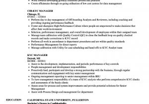 Kyc Resume Samples Kyc Manager Resume Samples Velvet Jobs