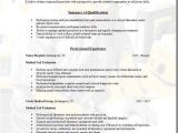 Lab Technician Resume Sample Lab Technician Resume Occupational Examples Samples Free