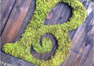 Large Moss Covered Letters Large Moss Covered Letter B Rustic Wedding Sign by
