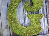 Large Moss Covered Letters Large Moss Covered Letter G 24 Letter Any Letter by