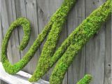 Large Moss Covered Letters Large Moss Covered Letter M Rustic Wedding Sign by