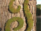 Large Moss Covered Letters Unavailable Listing On Etsy