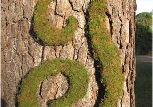 Large Moss Covered Letters Unavailable Listing On Etsy