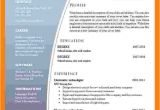 Latest Resume format Download In Ms Word 2007 9 Cv format Ms Word 2007 theorynpractice