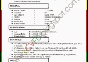 Latest Resume format In Word Latest Cv formats Updates Ms Word Cv format Latest Cv