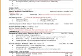 Latest Resume Template 4 Latest Cv format Sample Ledger Paper