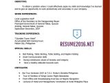 Latest Resume Template Resume Templates 2016 which One Should You Choose