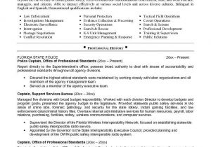 Law Enforcement Operations Plan Template Law Enforcement Operations Plan Template Free Template