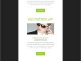 Law Firm Newsletter Templates Law Firm Newsletter Template 53195