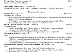 Law Student Resume Objective Sample Resume format with Felony Background Sample Resume